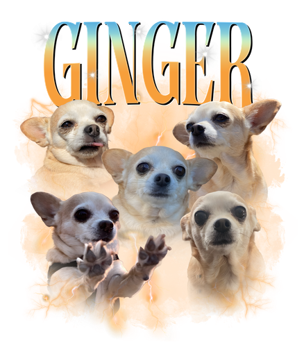 ginger.png