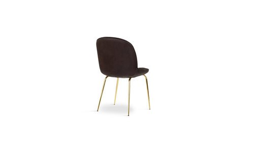 vielle (2).png