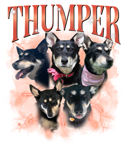 3109370318 Thumper.png