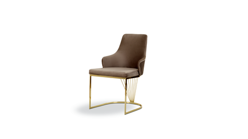 eco telli (2).png