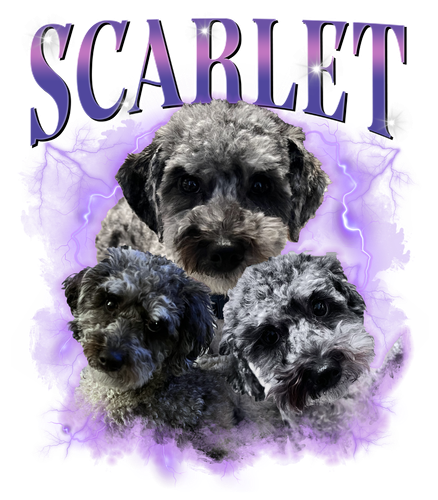 3094132097 Purple.png