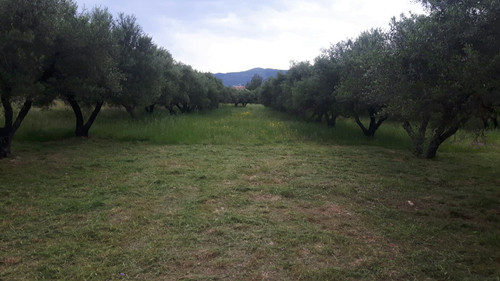 IMG bad6e2961191760c84d800f098d99723 V.jpg