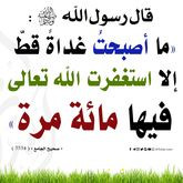 404162839 669672715273419 1763836180803384277 n.jpg