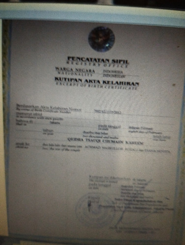 scaled 30b4e5ef 9fbf 410d a431 6cf5138c7b2d2484987316075346489.jpg