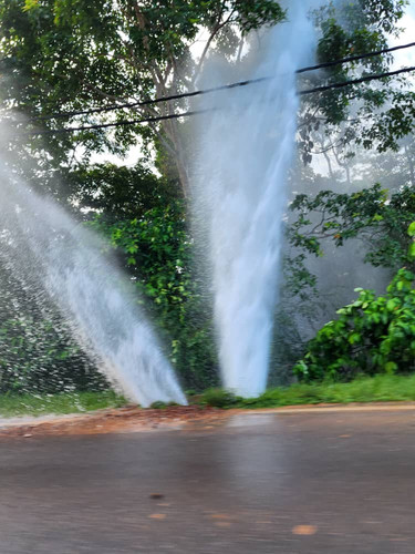 WhatsApp Image 2023 11 29 at 8.36.53 AM.jpg