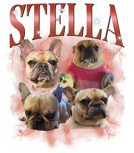 3101107935 2. STELLA 2.png