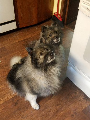 Inara and Sparkle looking.jpg