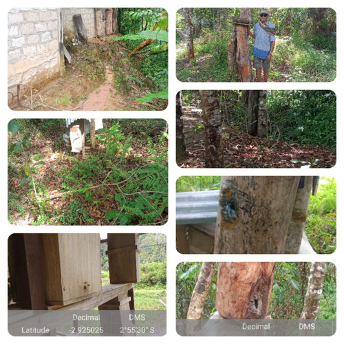 WhatsApp Image 2023 11 30 at 09.55.50.jpg