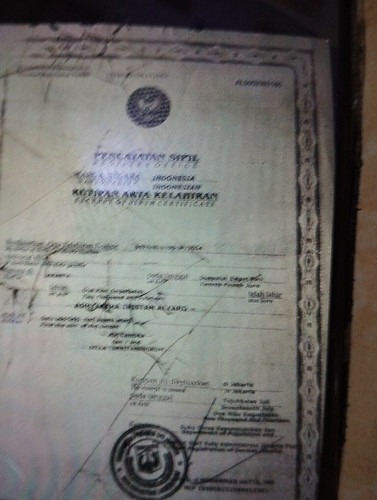 scaled 0bcd13bd 6484 44a0 be56 b7c9587a97c56524140712975489232.jpg