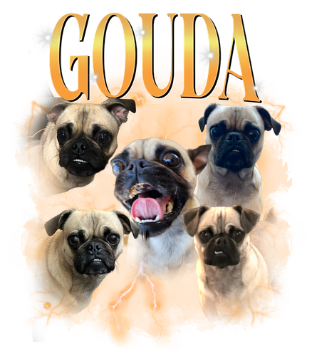 gouda.png