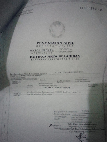 scaled d254d7c3 2705 4d0b 9980 606b3c0cef4b5596801397755104868.jpg