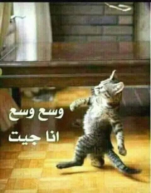 images (25) (24).jpg