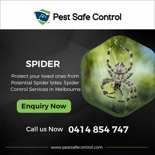 Spider 1200x1200.jpg