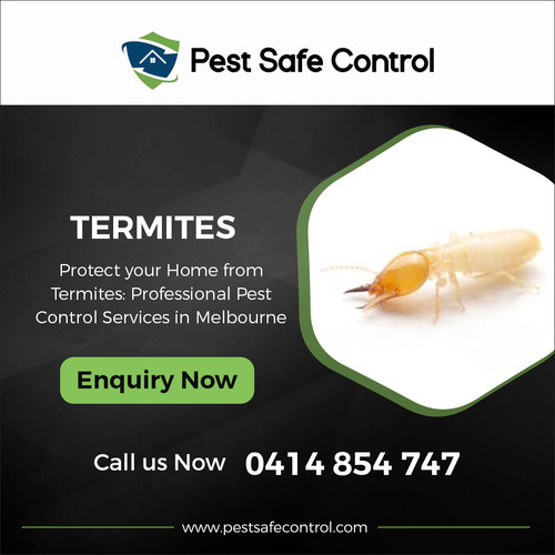 Temites 1200x1200.jpg