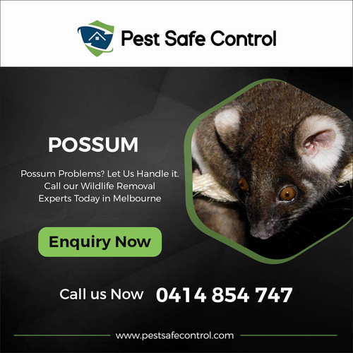 Posuam 1200x1200.jpg