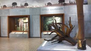 Museum Manggala Wanabhakti(6).jpg