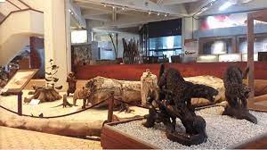 Museum Manggala Wanabhakti(1).jpg