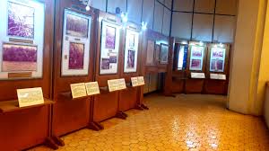 Museum Manggala Wanabhakti(7).jpg