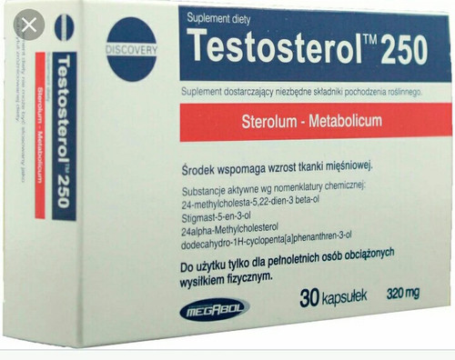 Screenshot 2023 11 16 18 29 32~2.jpg