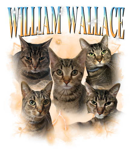 ưilliam ưallce.png