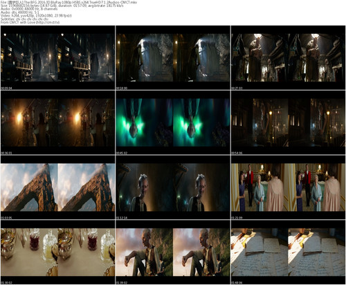 [圆梦巨人].The.BFG.2016.3D.BluRay.1080p.HSBS.x264.TrueHD7.1.2Audios CMCT s.jpg