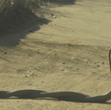 718e08e9f108200c72844c4ea00ccbdd2654b815269a03 UadnXp fw658