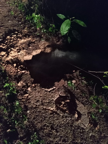 WhatsApp Image 2023 11 29 at 9.24.27 AM.jpg