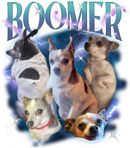 BOOMER 3104406105.png