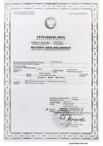 scaled Radit 1 3.jpg