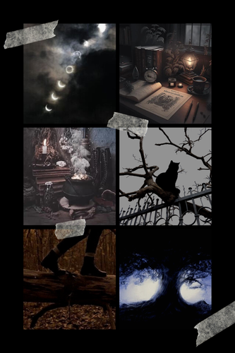 Black Brown Minimalist Halloween Inspiration Mood Boards Photo Collage.png