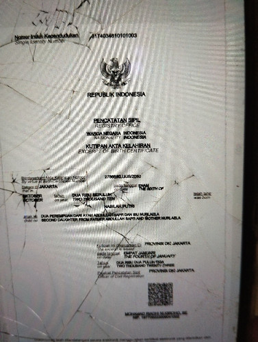 scaled a950a95b 39bd 4e8d 9ff1 40f39992cd7e8032162805893770888.jpg