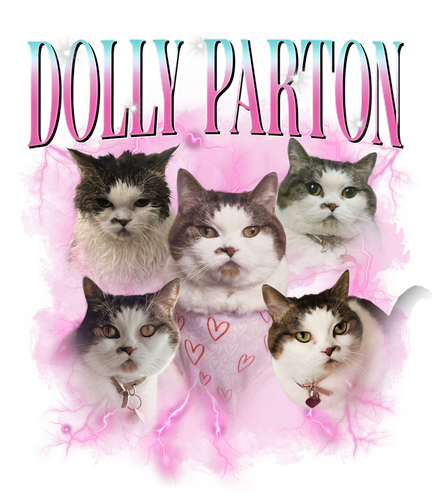 dolly pảton.png