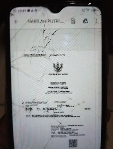 scaled 942b668a c545 4a79 9a6d 4a26c6e680bc3327912727190467088.jpg