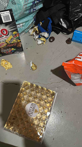 D9EE8C4D 2DE4 4215 AE00 BA84ADC247CD.jpg