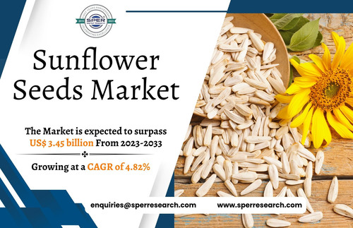 Sunflower Seeds Market.jpg