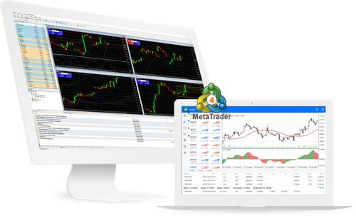 Forex White Label Cost.png