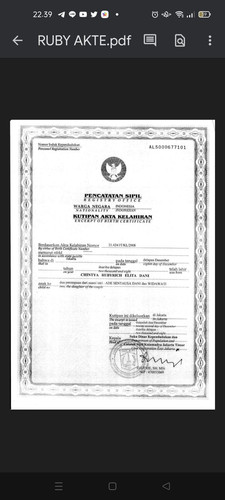 scaled ruby akte (1).jpg