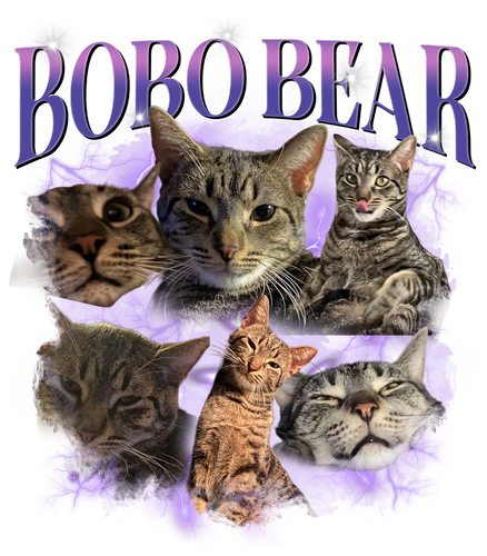 BoBo Bear + 6 + 1.png