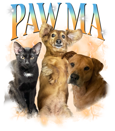 PAW MA + 11 + 1.png