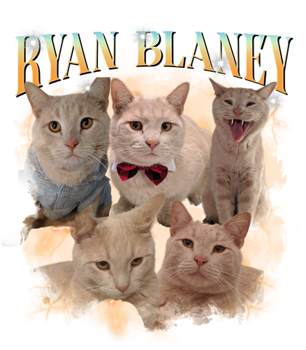Ryan Blaney 11 + 1.png