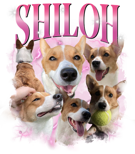 Shiloh + 1 + 1.png