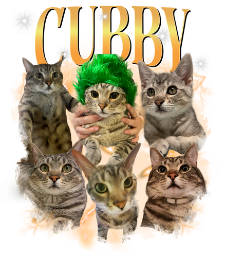 Cubby + 3 + 1.png