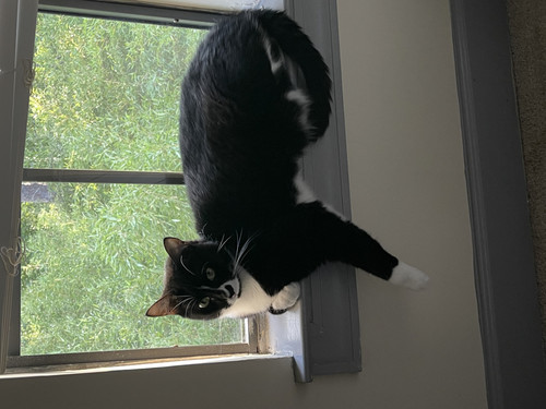 icm fullxfull.605157025 78oelyjibhs8sggc08so.jpg