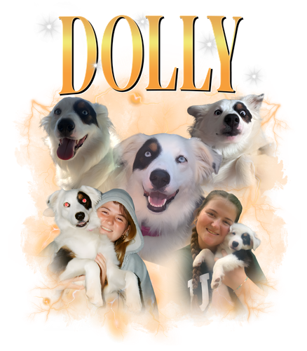 dolly.png