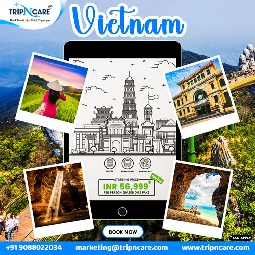 Explore the Beauty of Vietnam with Tripncare Holiday Package.jpg