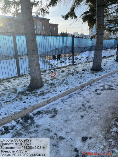 photo 5420426032848161809 y.jpg