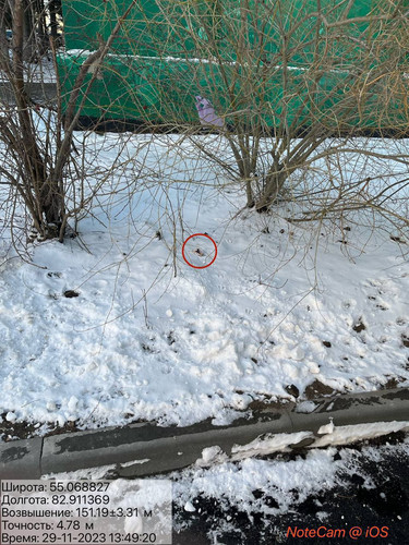 photo 5420426032848161804 y.jpg