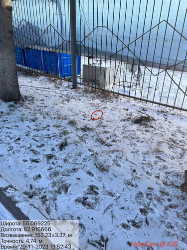 photo 5420426032848161807 y.jpg