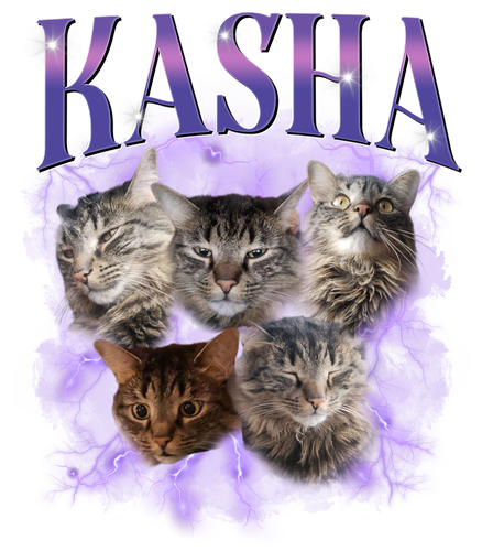 3105351873.png