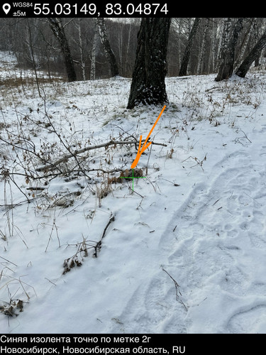 17..jpg
